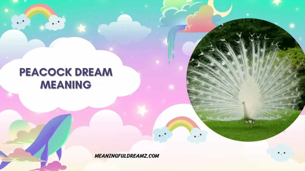 White Peacock Dream Meaning