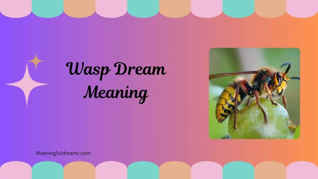 Why Do People Dream About Wasps?
