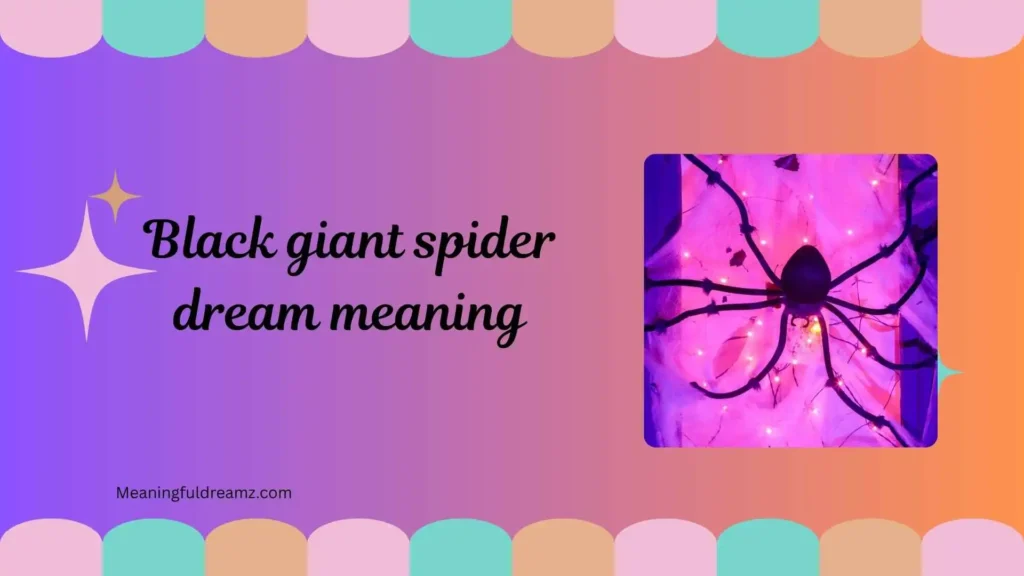 Common Examples and Features of Black Giant Spider Dream Meaning