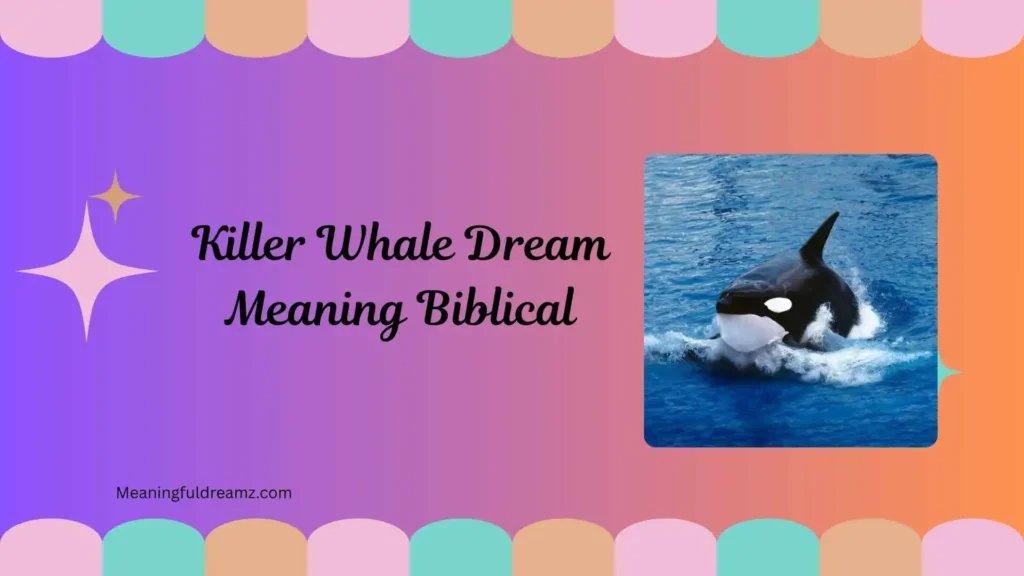 Common Examples & Features of Killer Whale Dream Meaning Biblical
