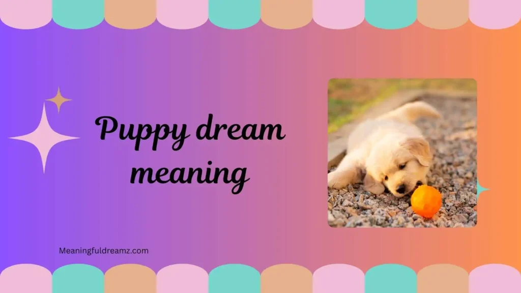 Common Examples and Features of Puppy Dream Meaning