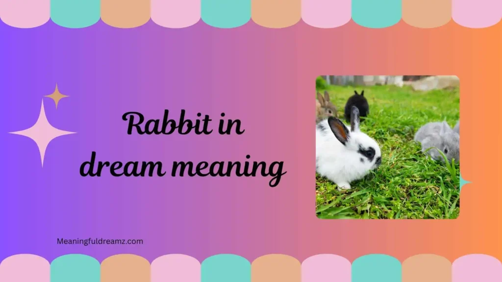 Common Examples and Features of Rabbit in Dream Meaning