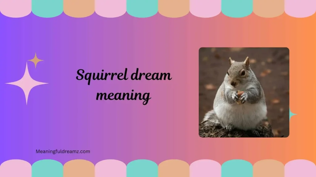  Common Examples & Features of Squirrel Dream Meaning