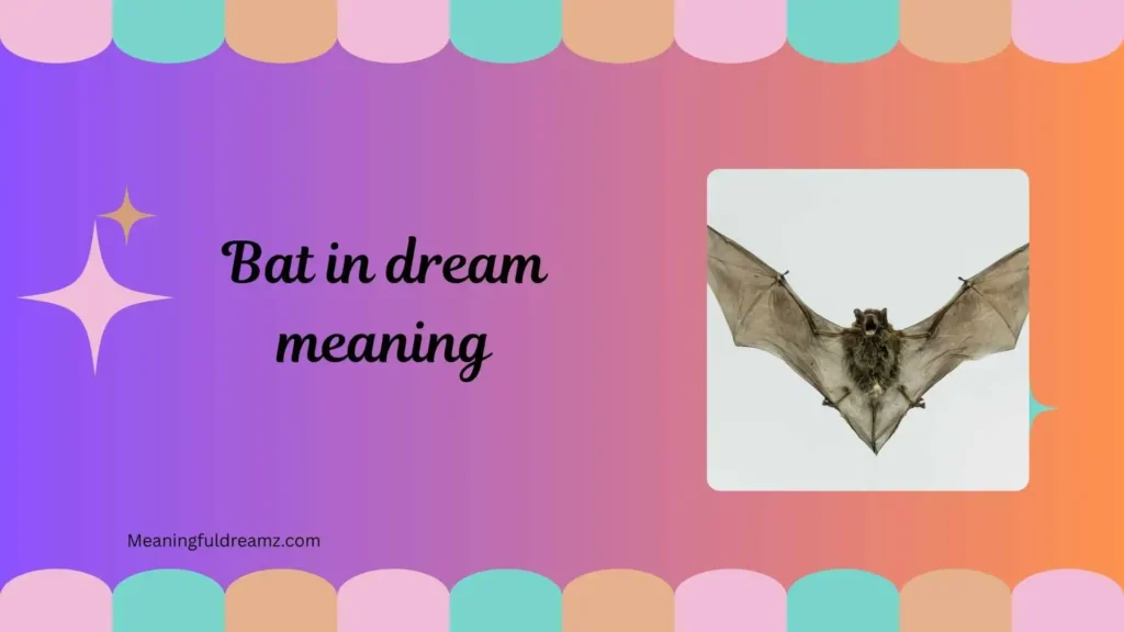 Common Examples, Features, and Benefits of Bat in Dream Meaning