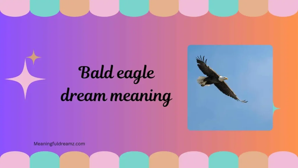 Common Examples / Features / Benefits of Bald Eagle Dream Meaning