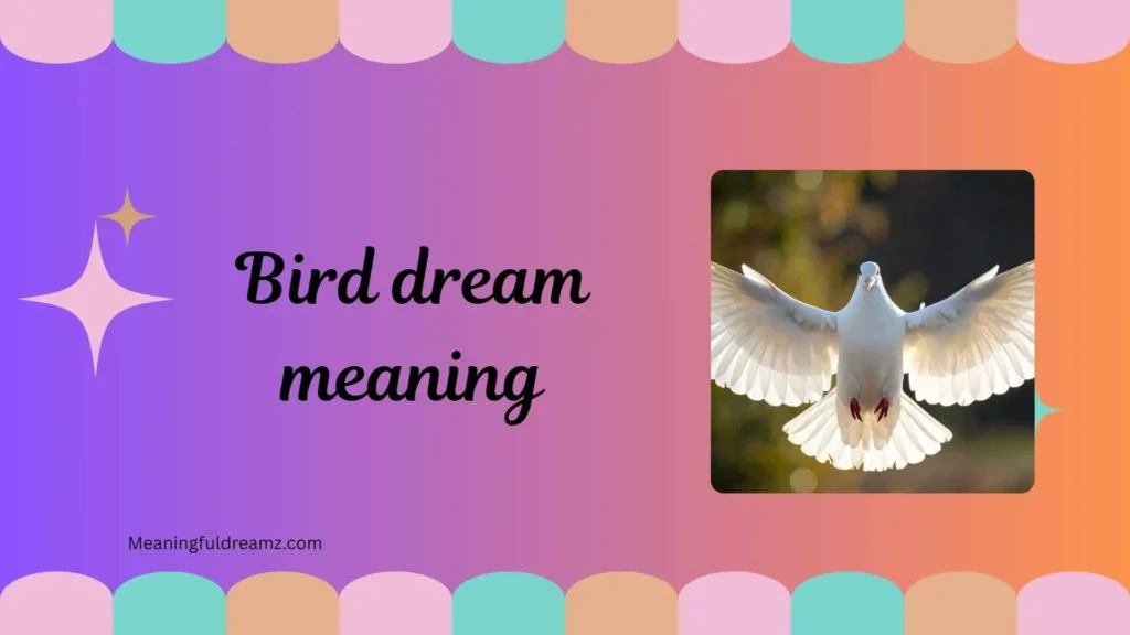 Common Examples / Features / Benefits of Bird Dream Meaning
