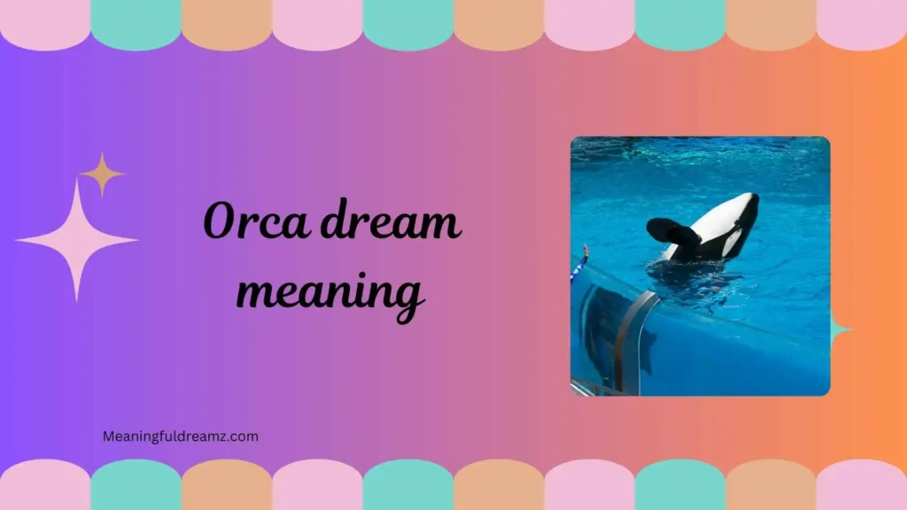 Common Examples / Features / Benefits of Orca Dream Meaning