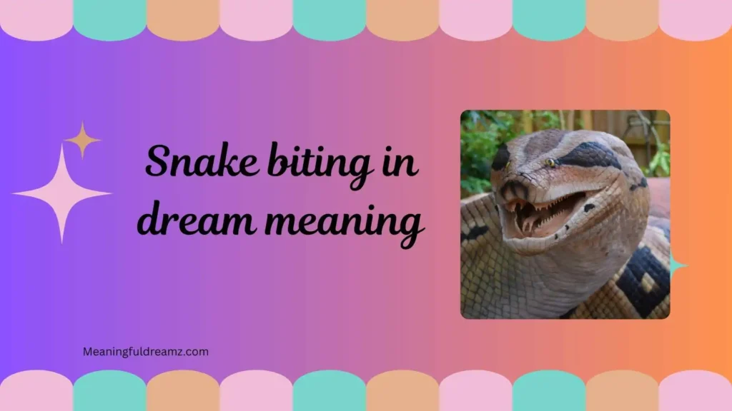 Common Examples / Features / Benefits of Snake Biting in Dream Meaning