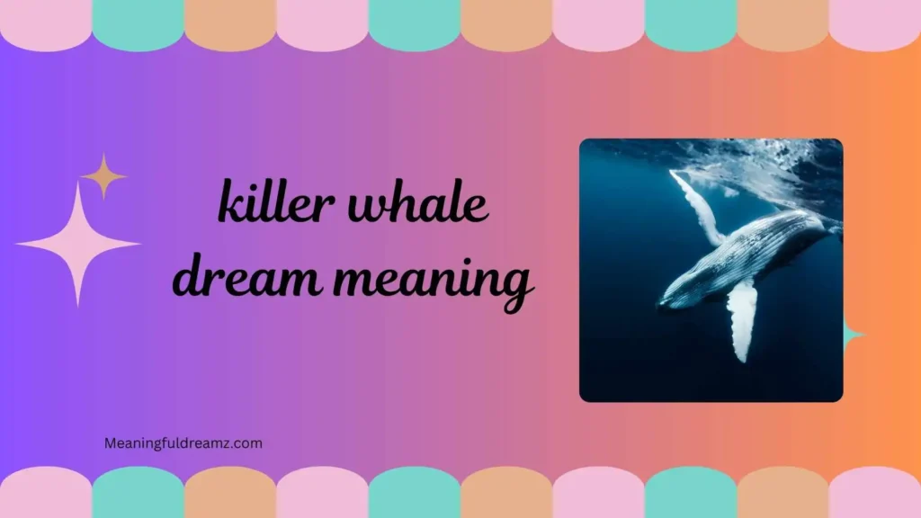 Common Examples / Features of Killer Whale Dream Meaning