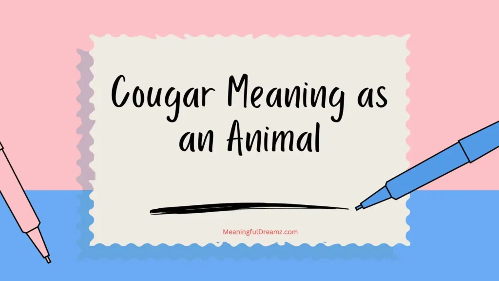 Cougar Meaning as an Animal