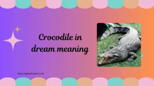 crocodile in dream meaning