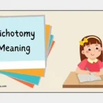 Dichotomy Meaning