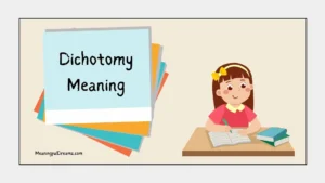 Dichotomy Meaning