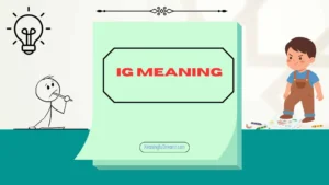 ig meaning