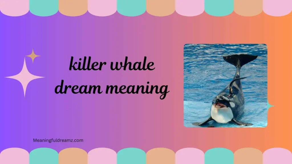 killer whale dream meaning