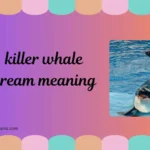 killer whale dream meaning