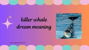 killer whale dream meaning