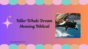 Killer Whale Dream Meaning Biblical