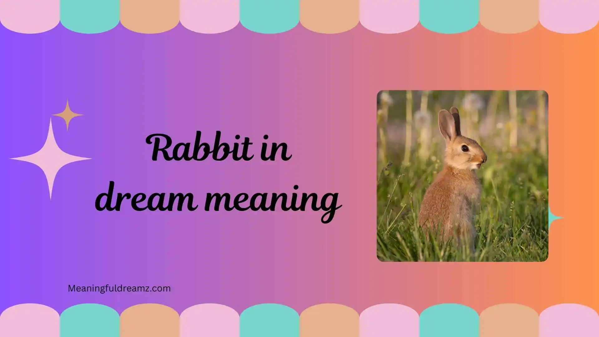rabbit in dream meaning