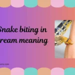snake biting in dream meaning