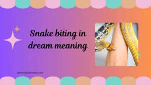 snake biting in dream meaning