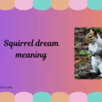 squirrel dream meaning