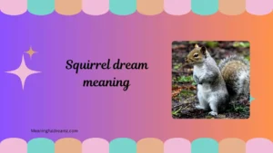squirrel dream meaning