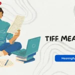 tiff meaning