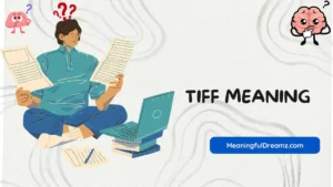 tiff meaning
