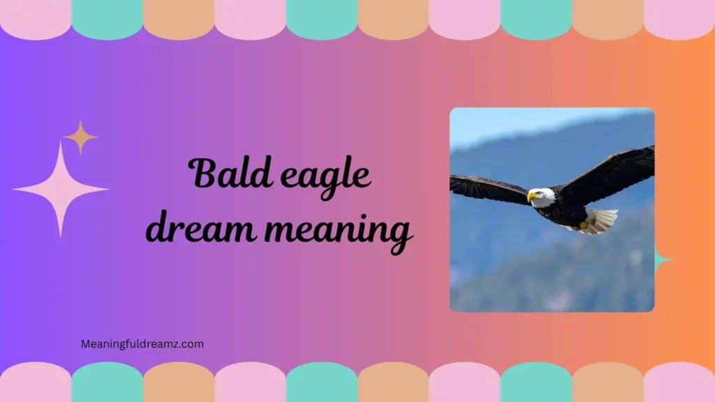 Types / Categories of Bald Eagle Dream Meaning