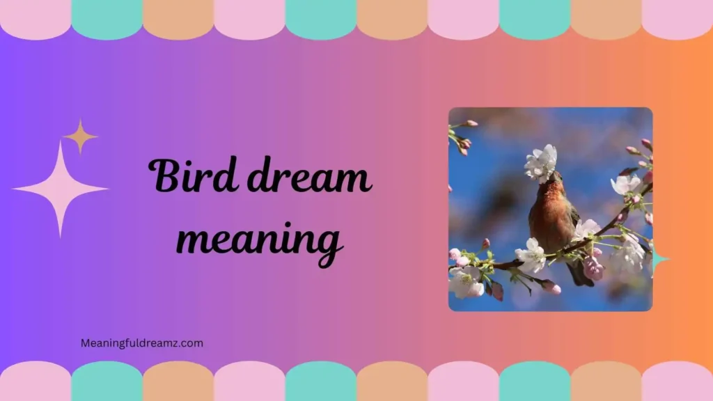 Types / Categories of Bird Dream Meaning