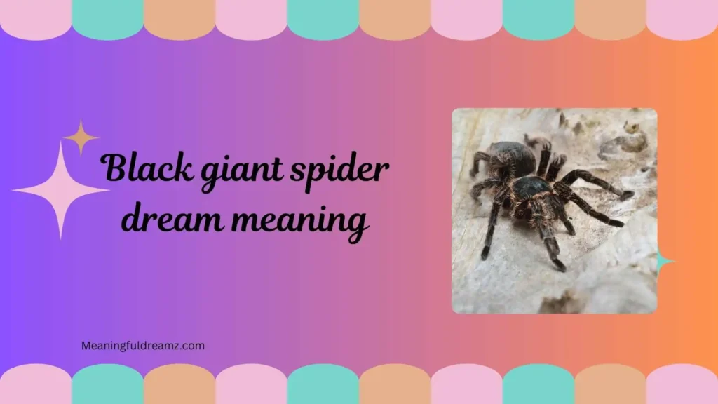 Types / Categories of Black Giant Spider Dream Meaning
