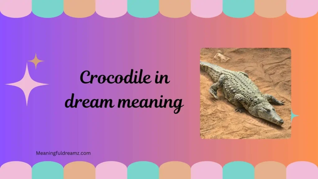 Types / Categories of Crocodile in Dream Meaning