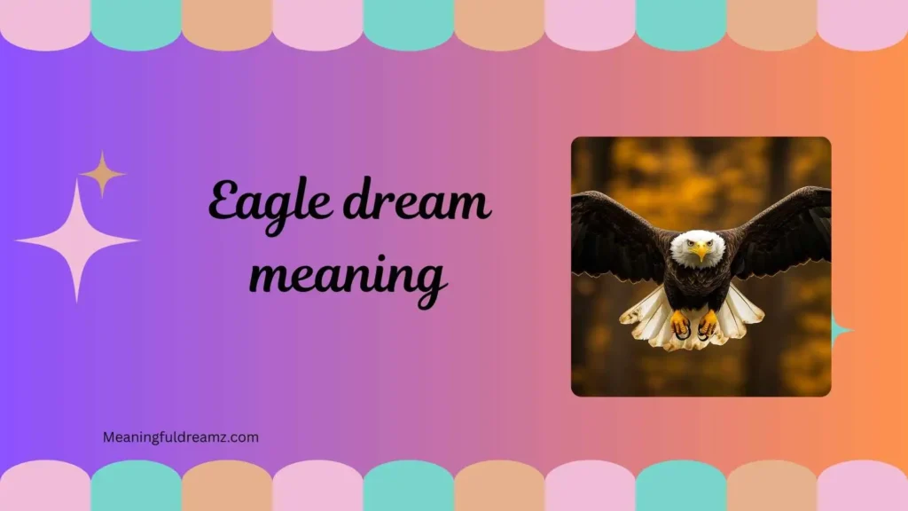 Types / Categories of Eagle Dream Meaning