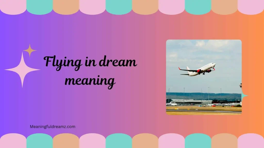 Types / Categories of Flying in Dream Meaning