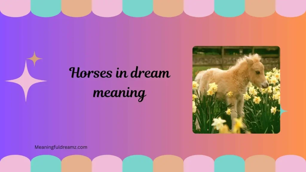 Types / Categories of Horses in Dream Meaning