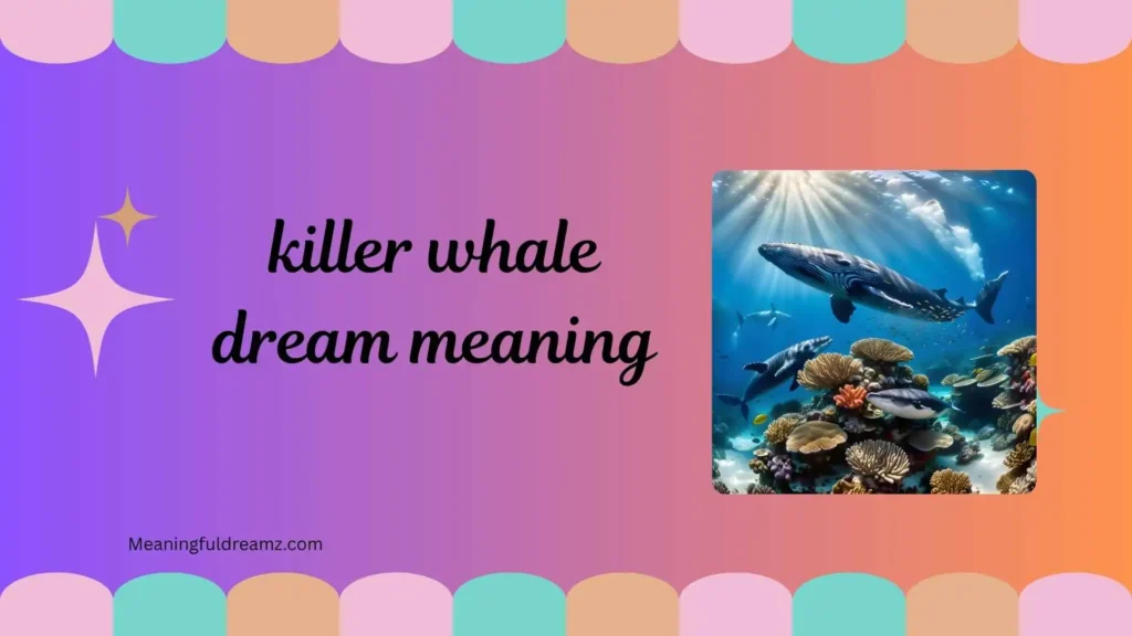 Types / Categories of Killer Whale Dream Meaning