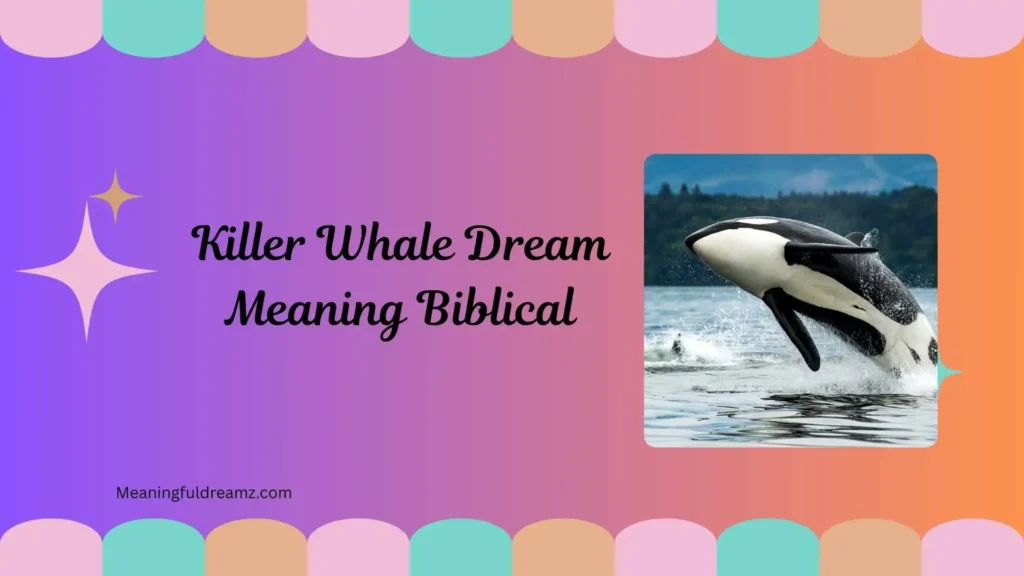 Types / Categories of Killer Whale Dream Meaning Biblical