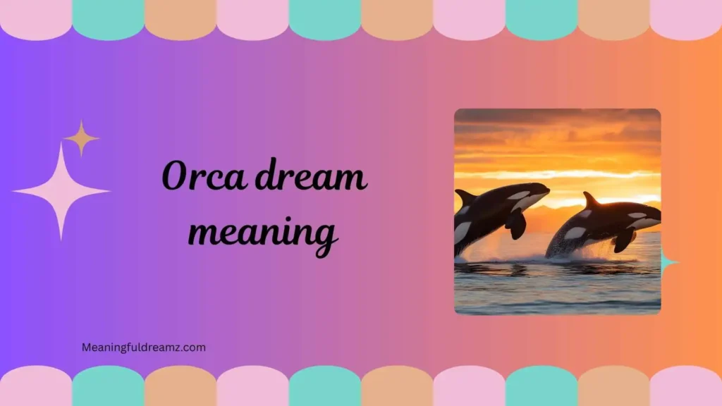 Types / Categories of Orca Dream Meaning