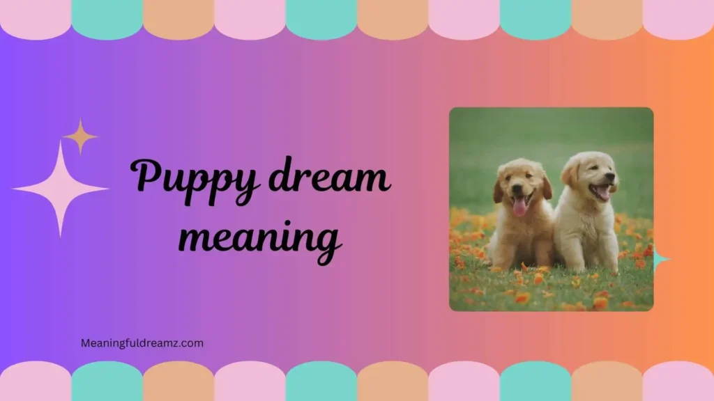 Types / Categories of Puppy Dream Meaning
