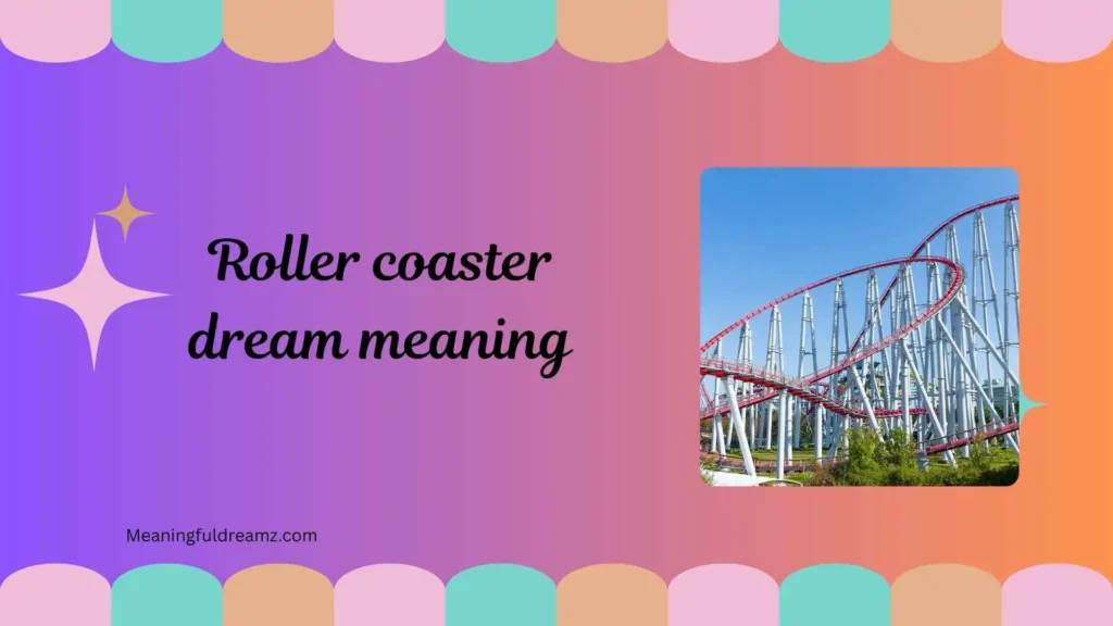Types / Categories of Roller Coaster Dream Meaning