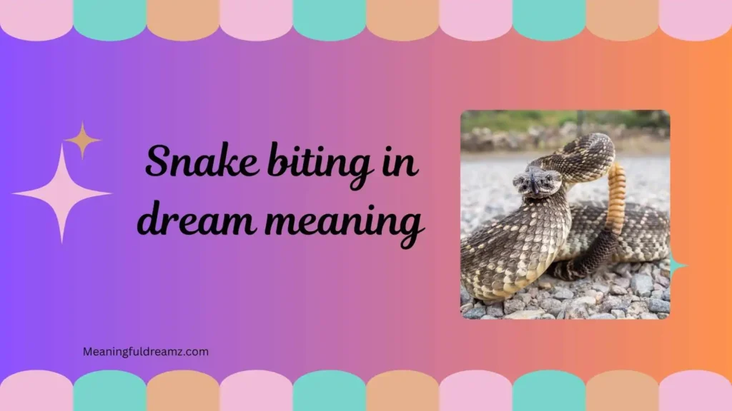 Types / Categories of Snake Biting in Dream Meaning
