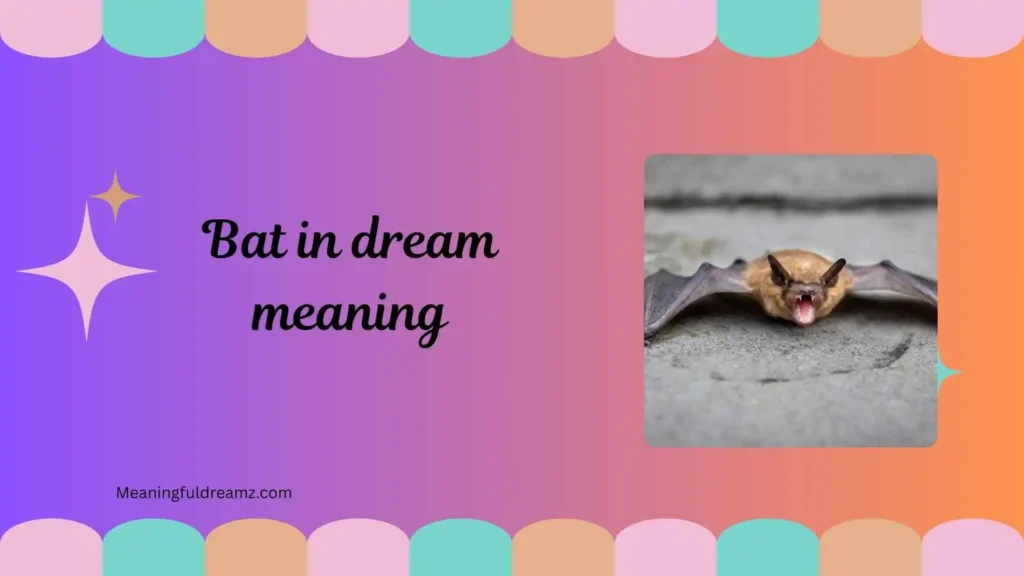 Types / Categories / Variations of Bat in Dream Meaning