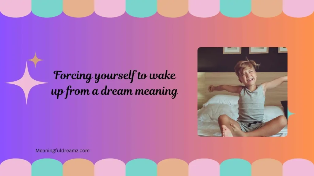 Types / Categories / Variations of Forcing Yourself to Wake Up From a Dream Meaning