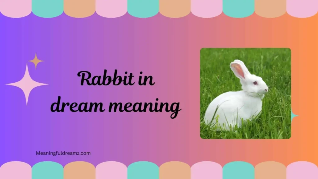 Types / Categories / Variations of Rabbit in Dream Meaning
