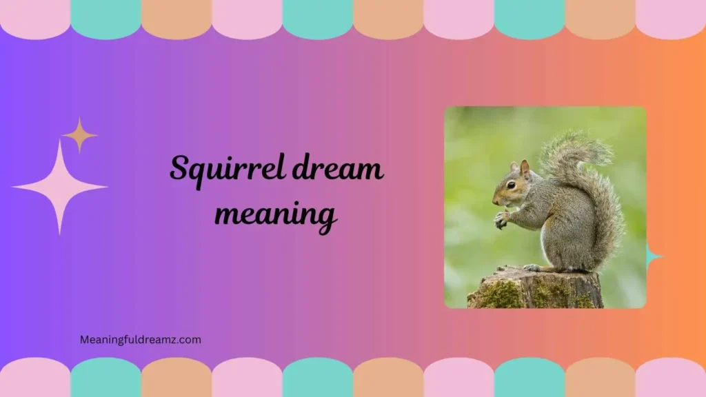 Types / Variations of Squirrel Dream Meaning