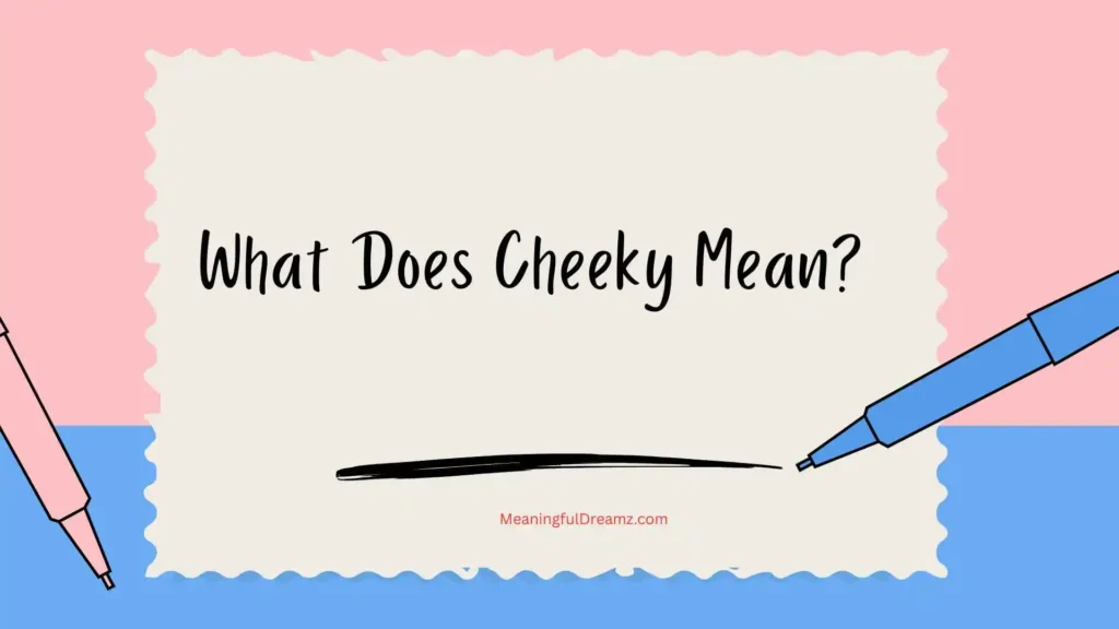 What Does Cheeky Mean