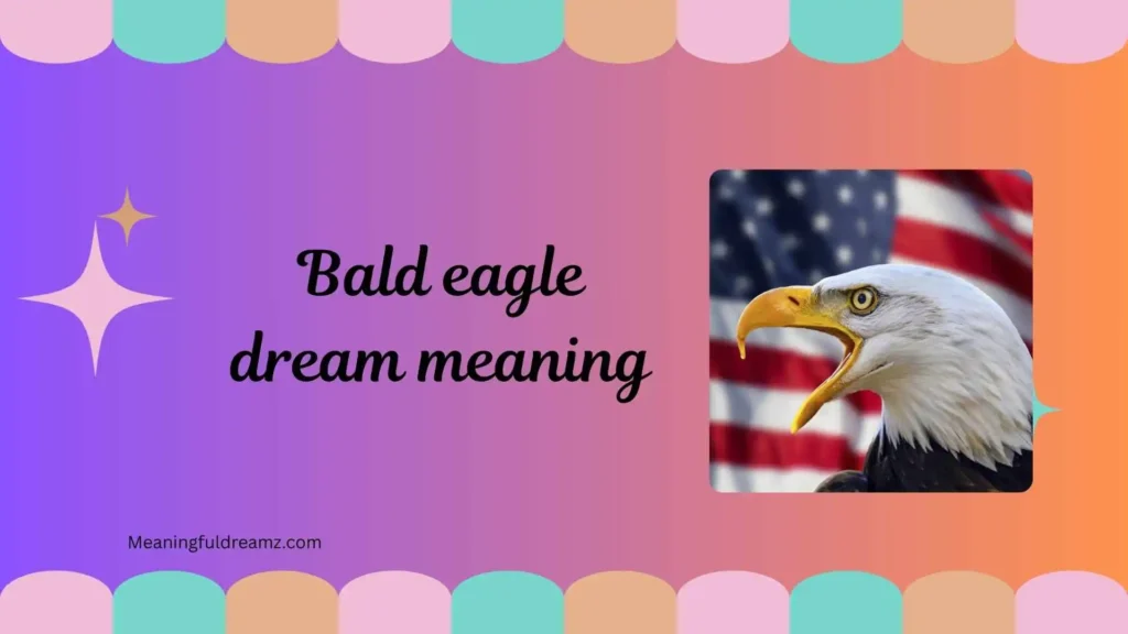What is Bald Eagle Dream Meaning?
