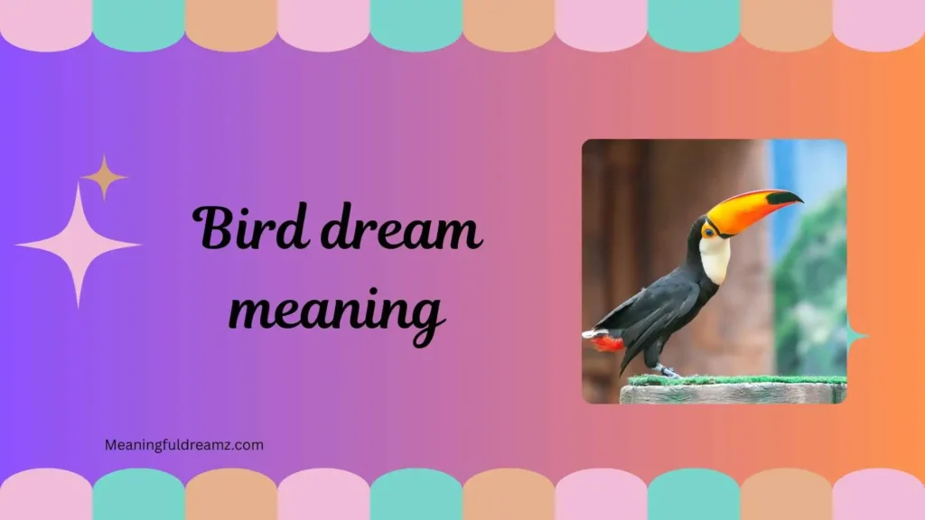 What is Bird Dream Meaning?