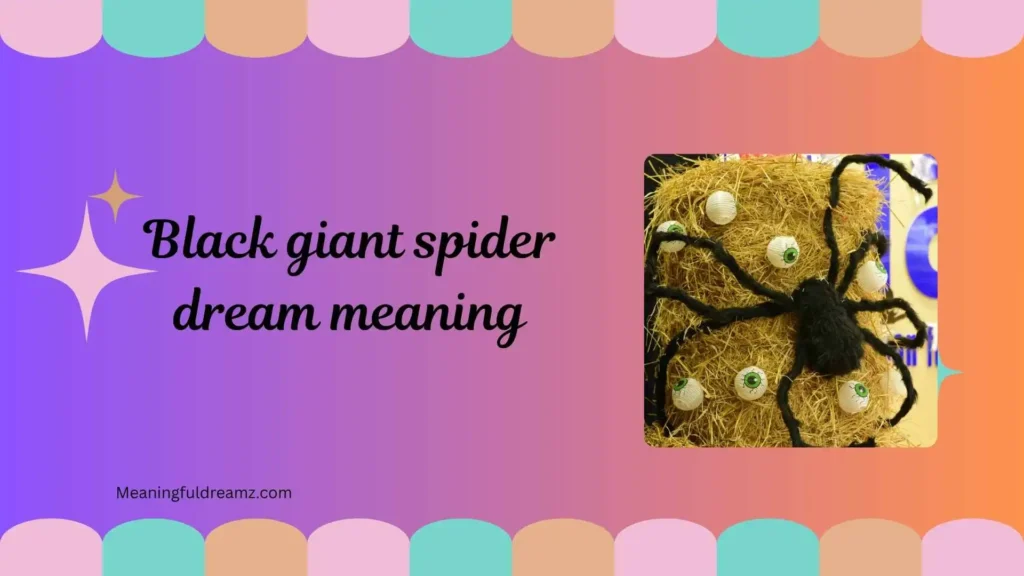 What is Black Giant Spider Dream Meaning?